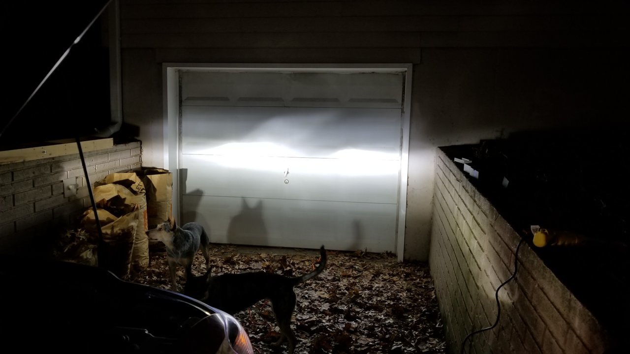 20181130_180133.jpg