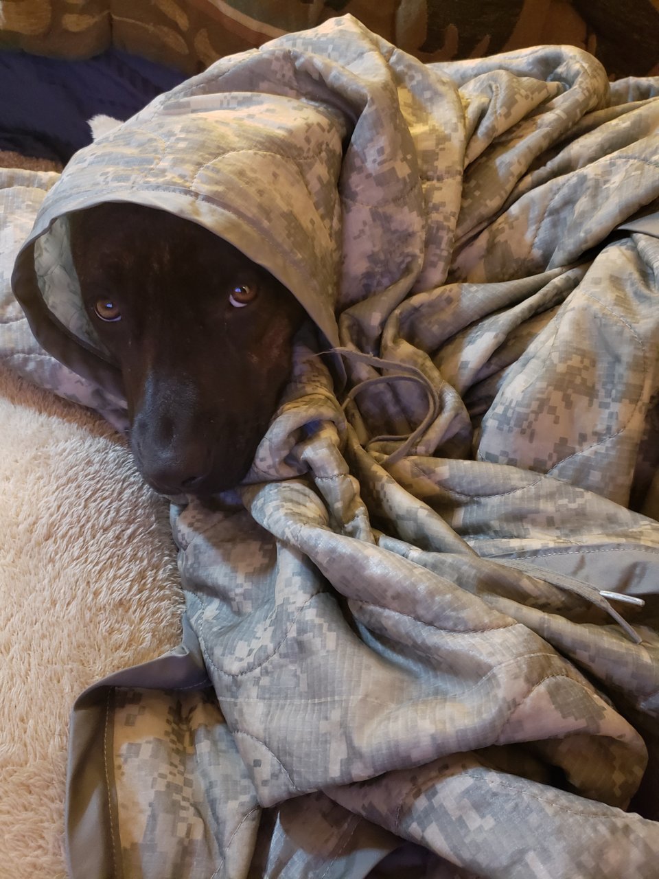 20181130_221804.jpg