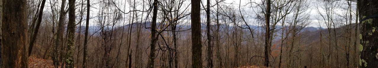 20181201_101303.jpg