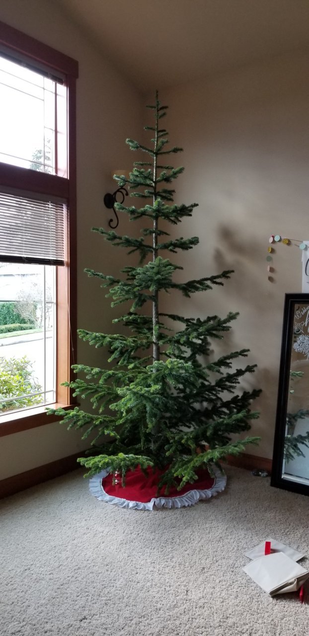 20181201_150736.jpg