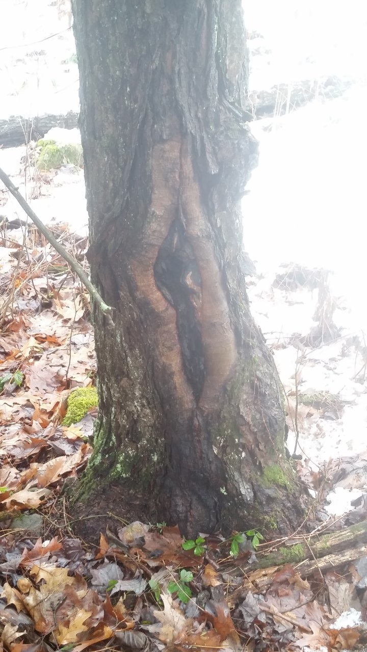 20181202_091054.jpg
