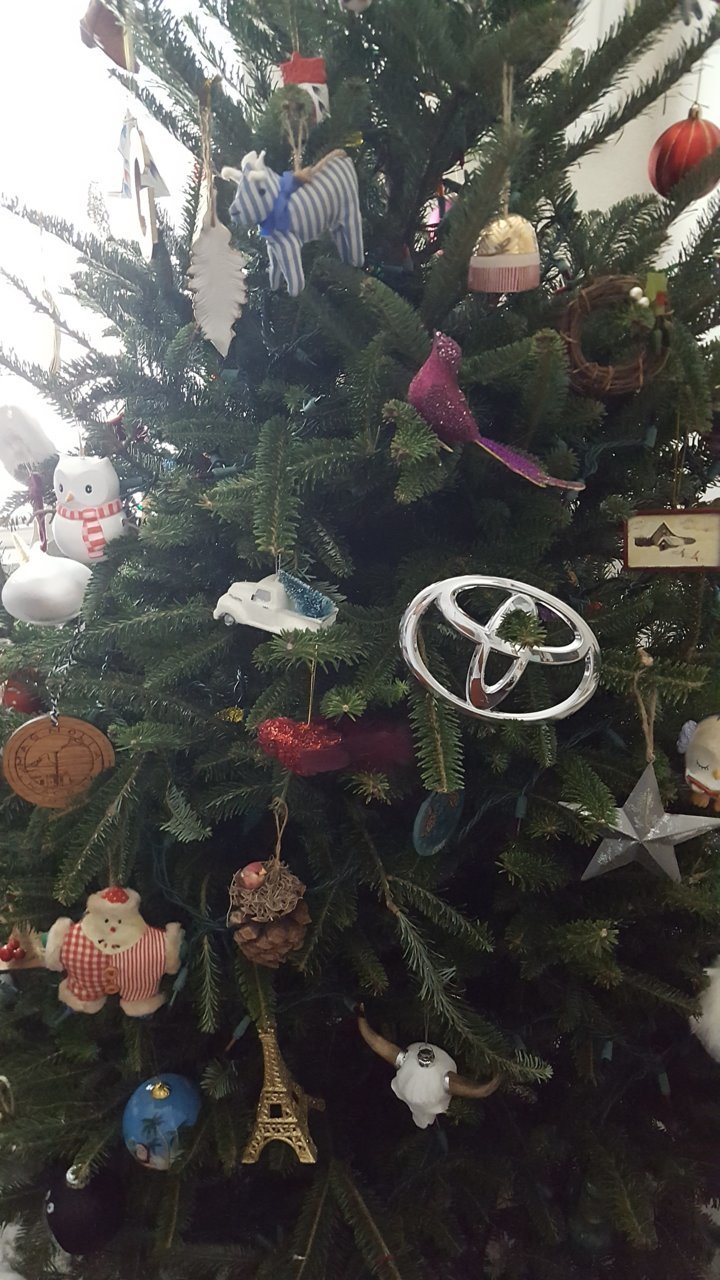 20181202_113715.jpg