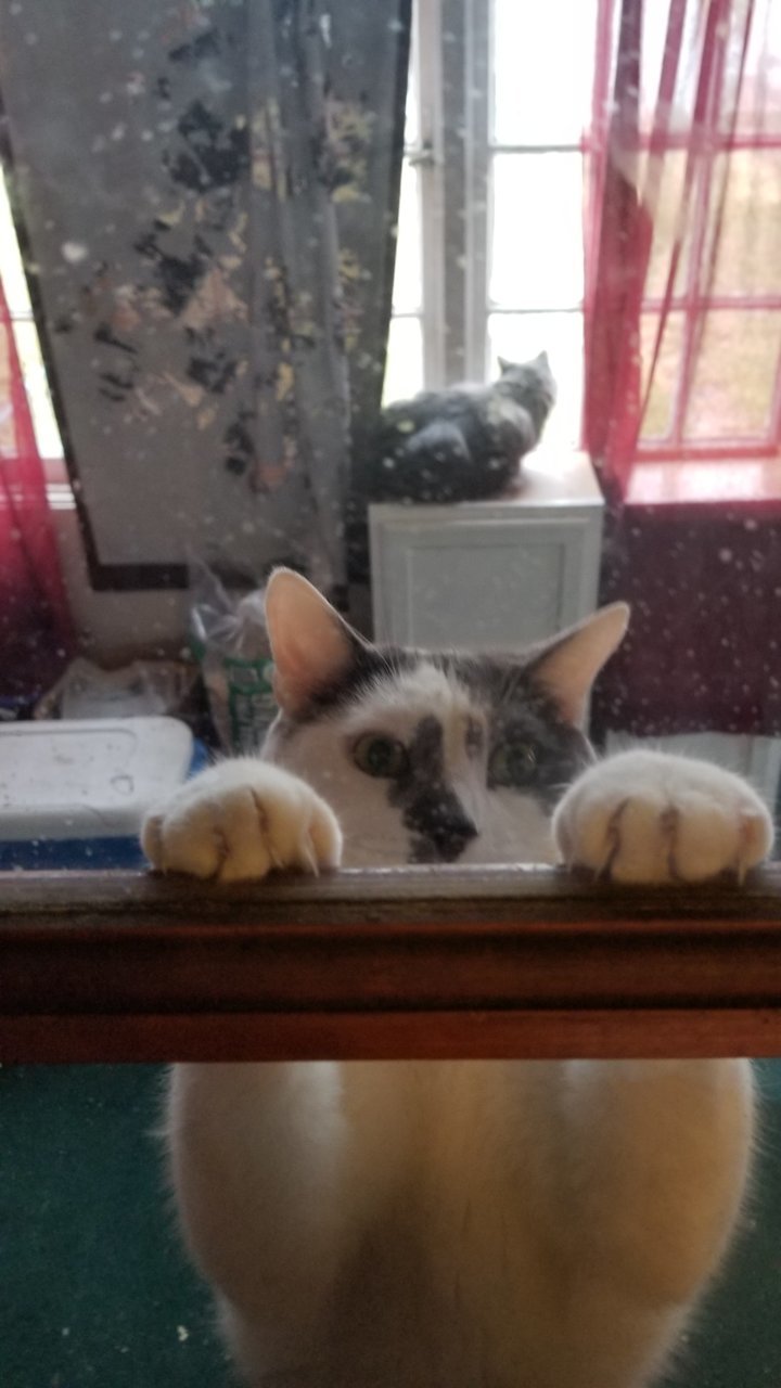 20181202_114101.jpg