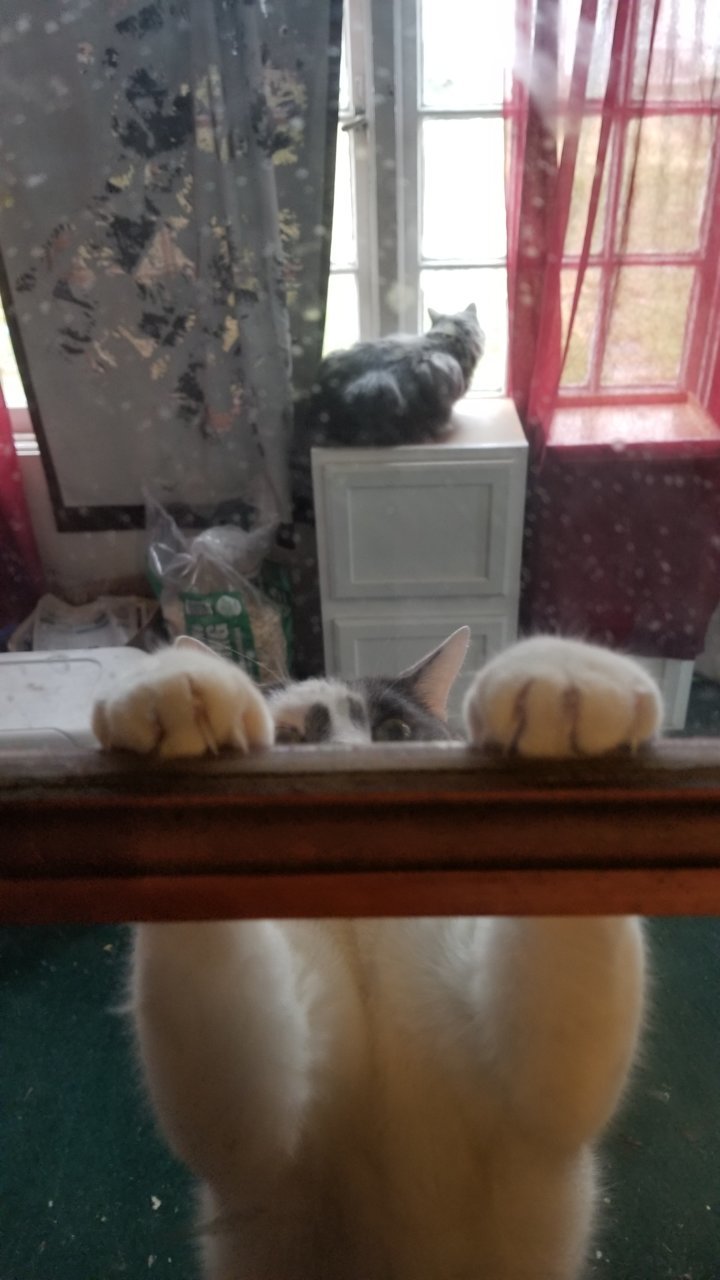 20181202_114102.jpg