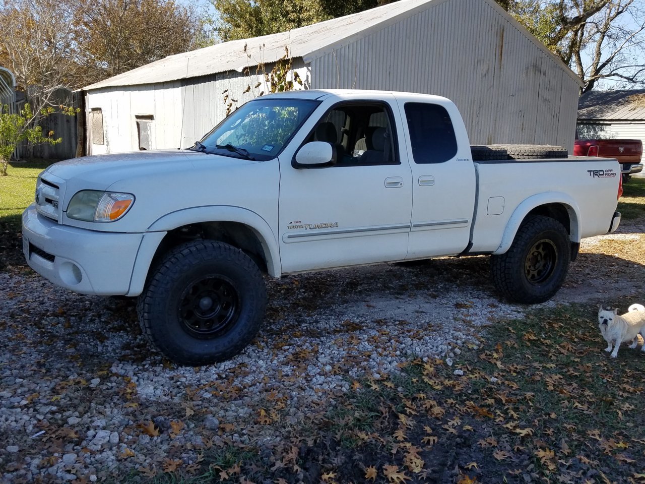 20181202_124550.jpg
