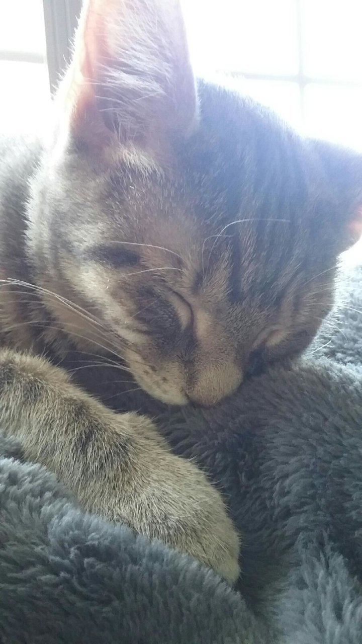 20181202_143327.jpg