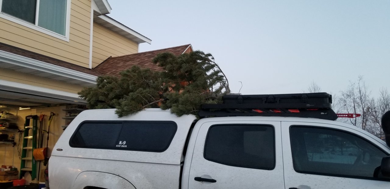 20181202_165334.jpg