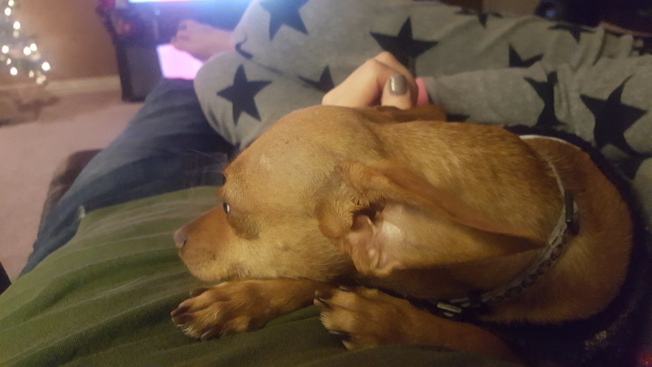 20181202_212521.jpg