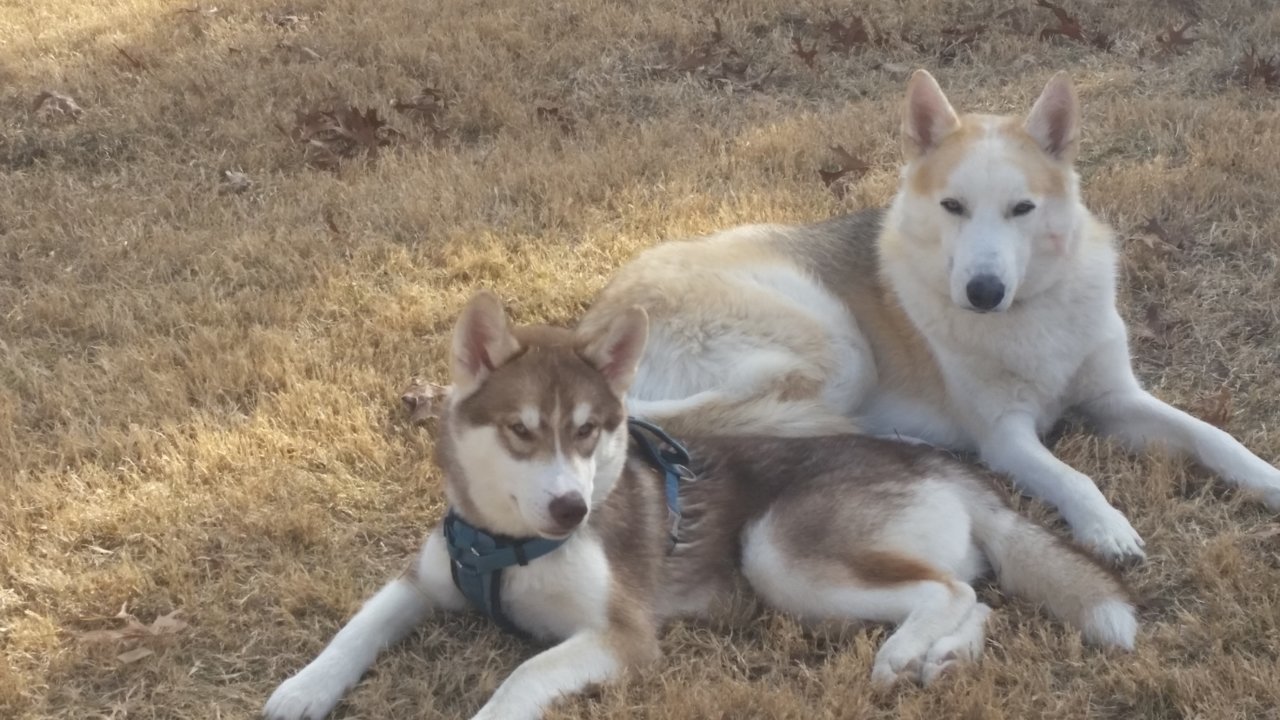 20181203_113738.jpg