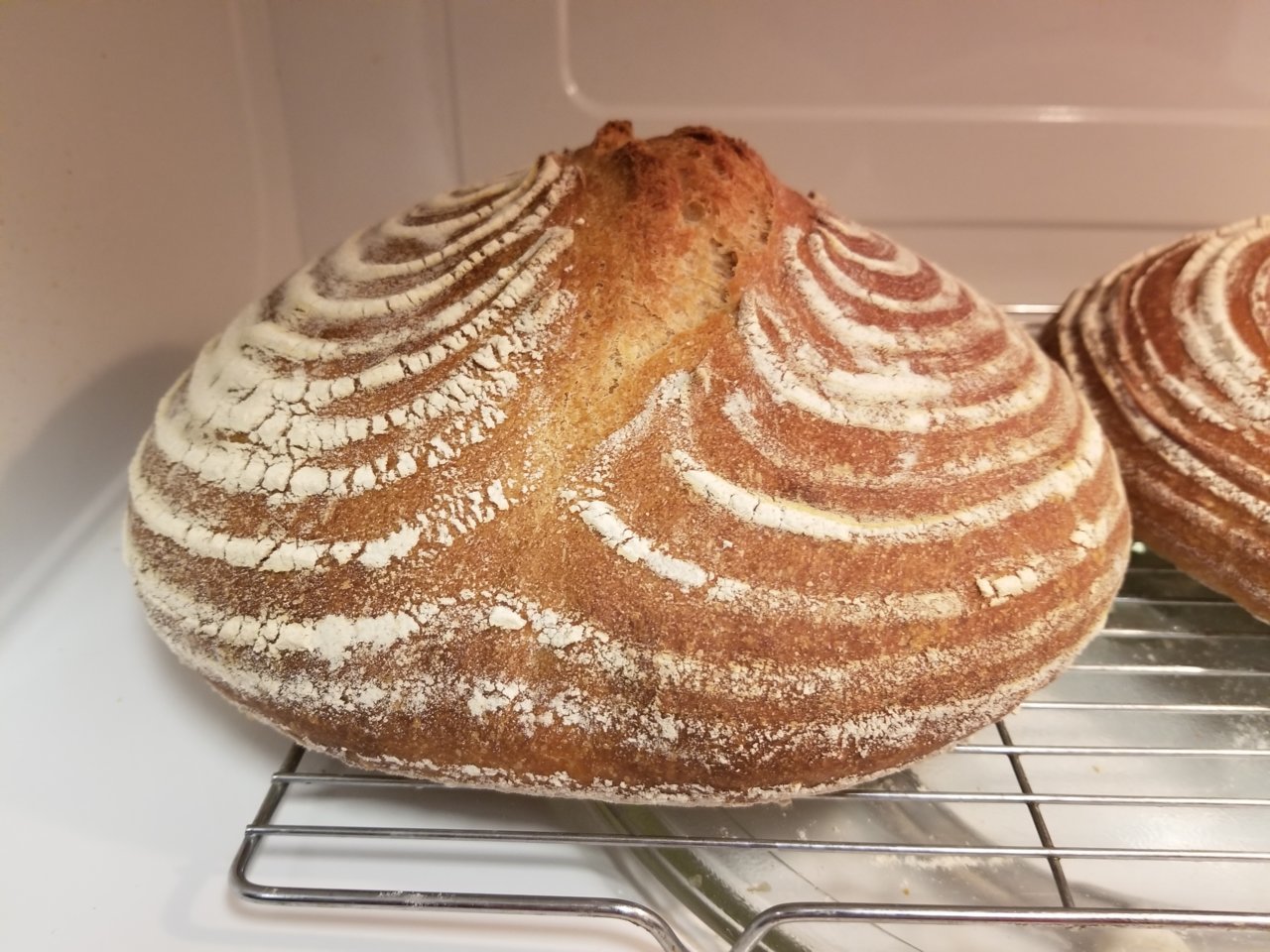 20181203_173441.jpg