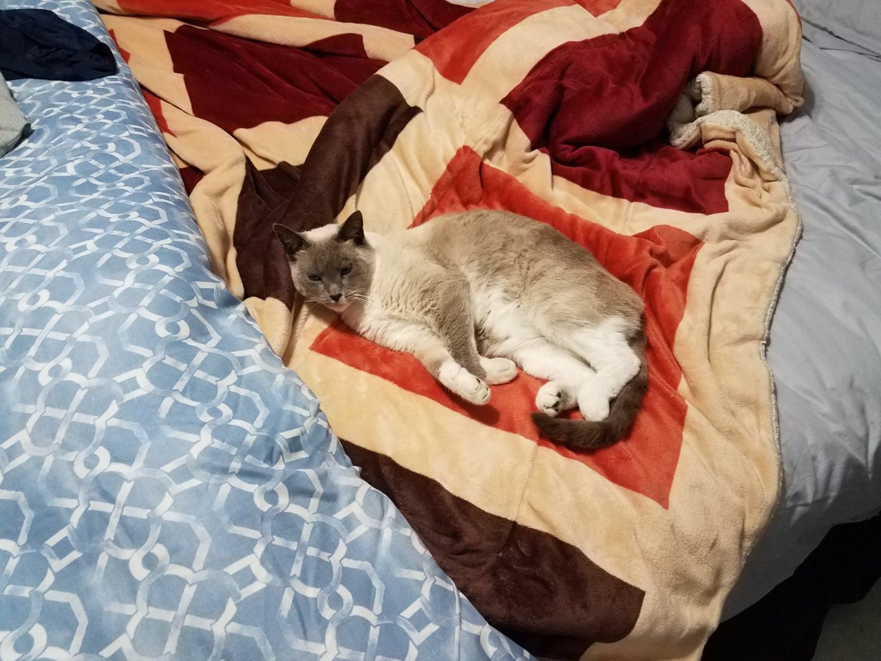 20181204_170706.jpg