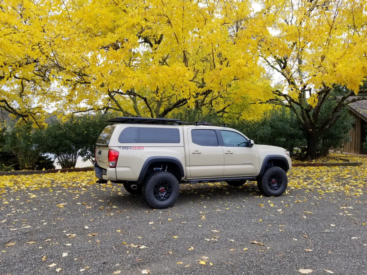 20181205_130303.jpg