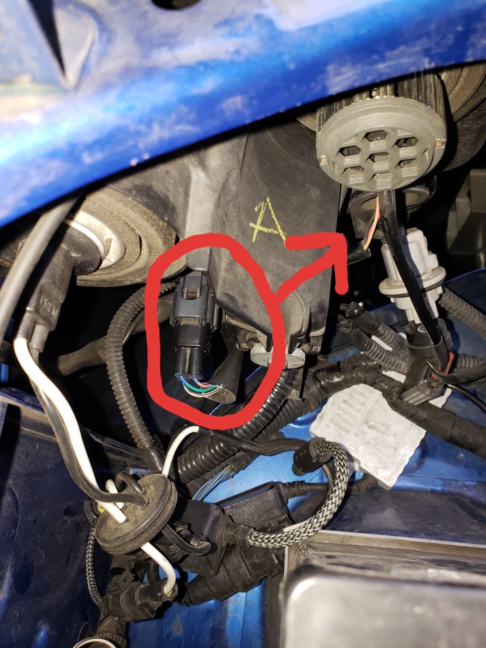 20181205_133703.jpg