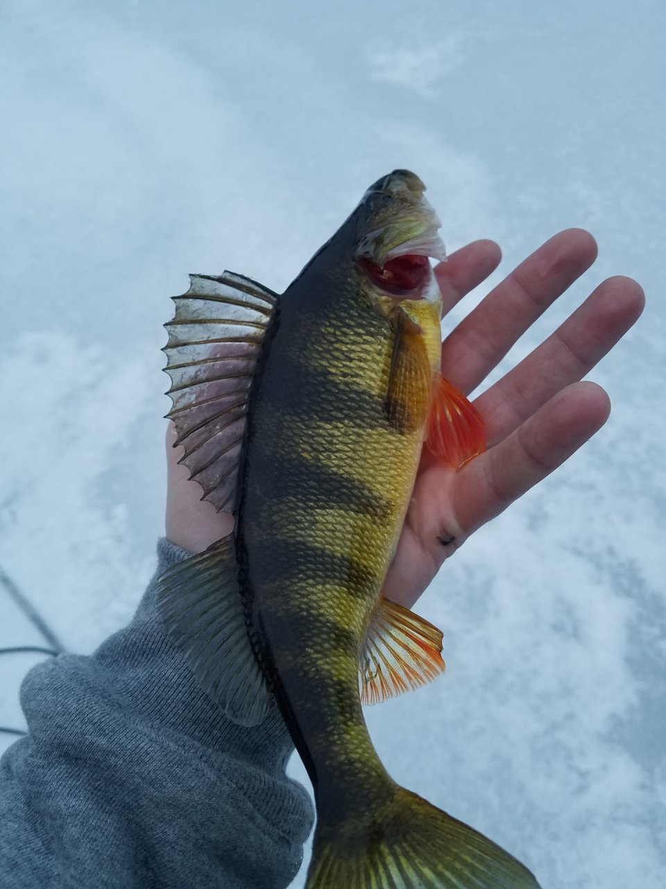 20181205_161139.jpg