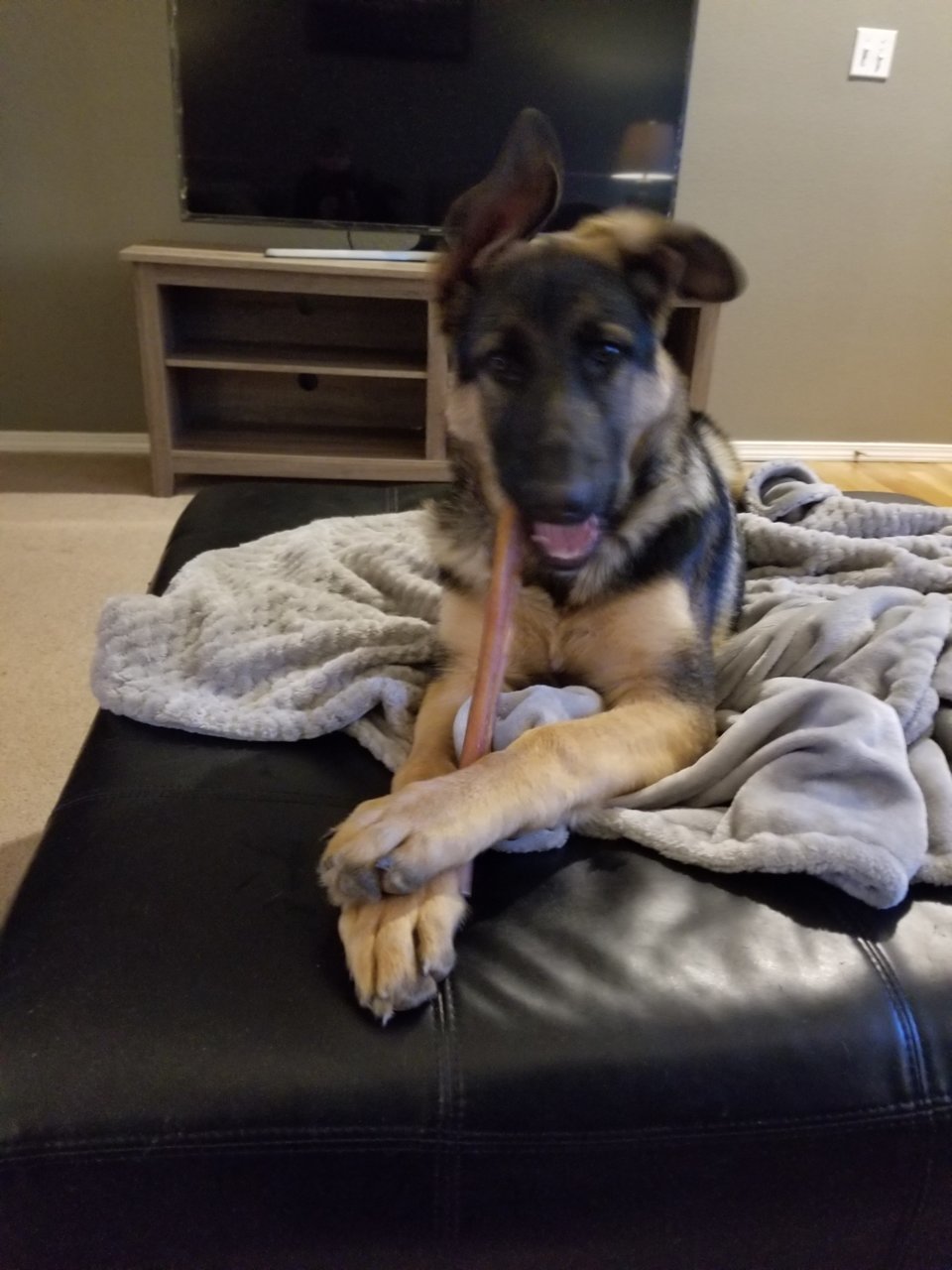 20181205_170555.jpg
