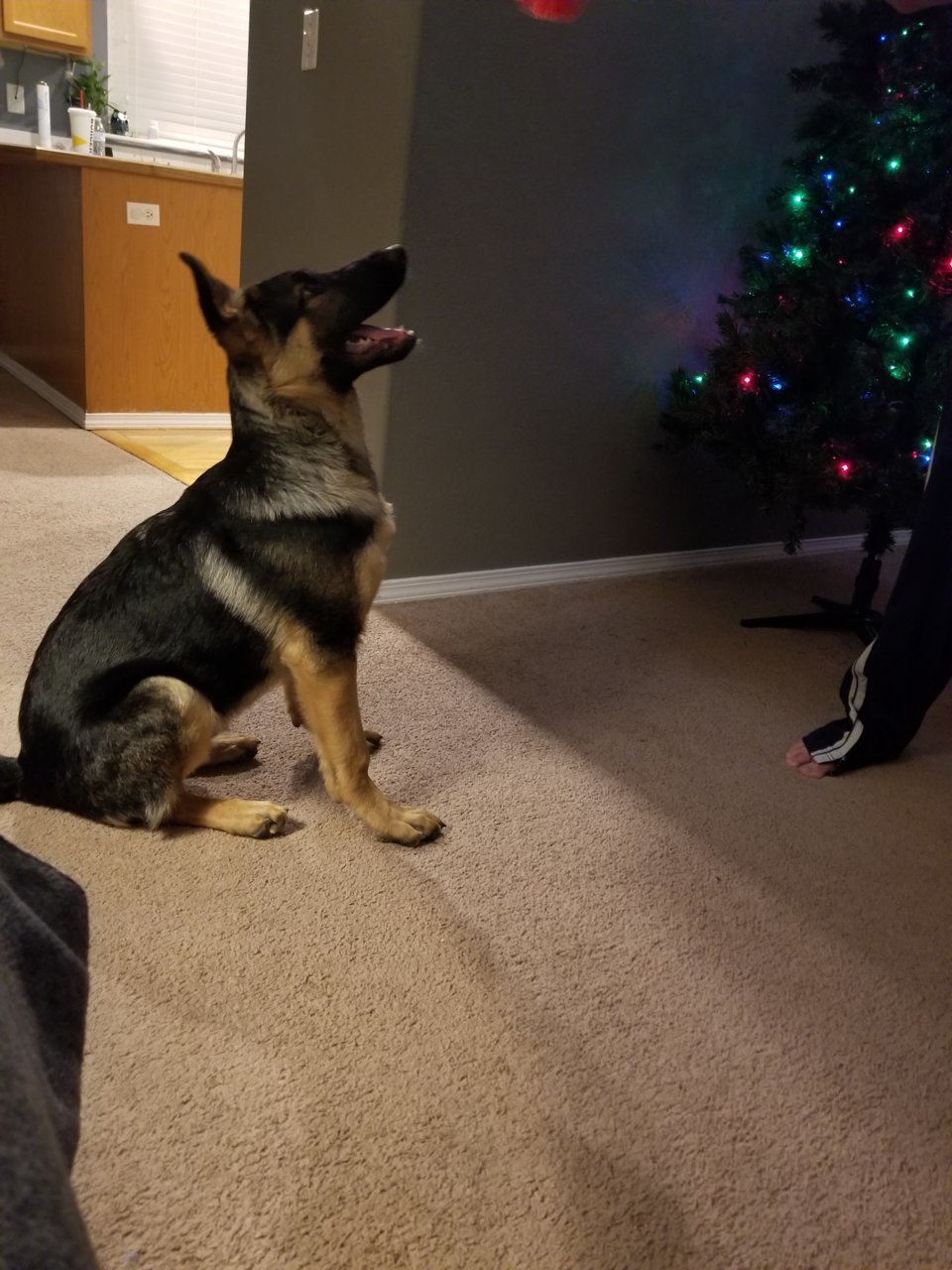 20181205_180955.jpg