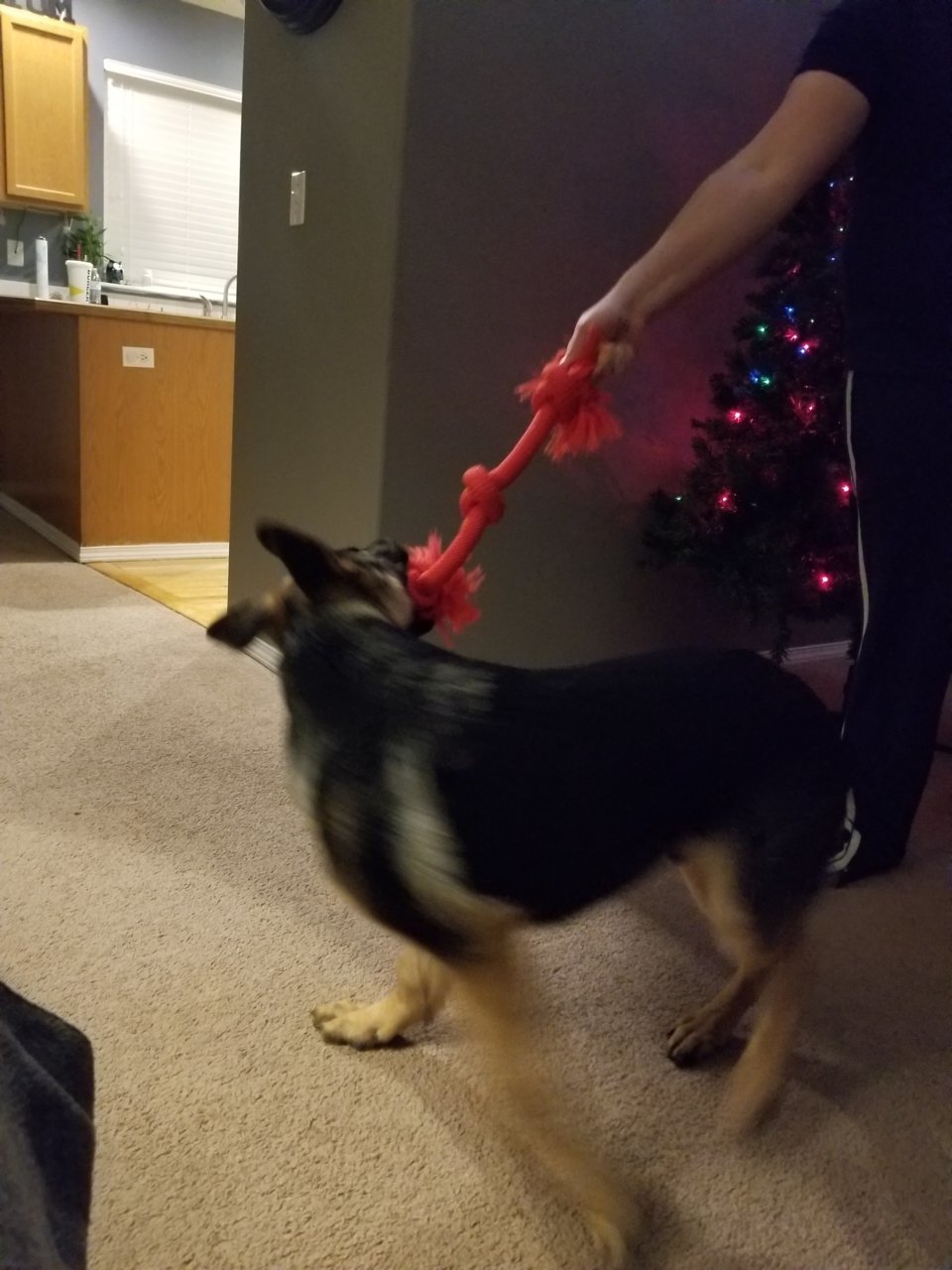 20181205_181010.jpg