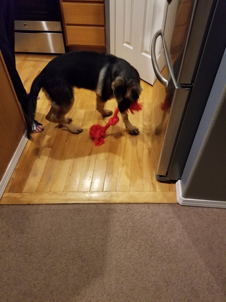 20181205_181258.jpg