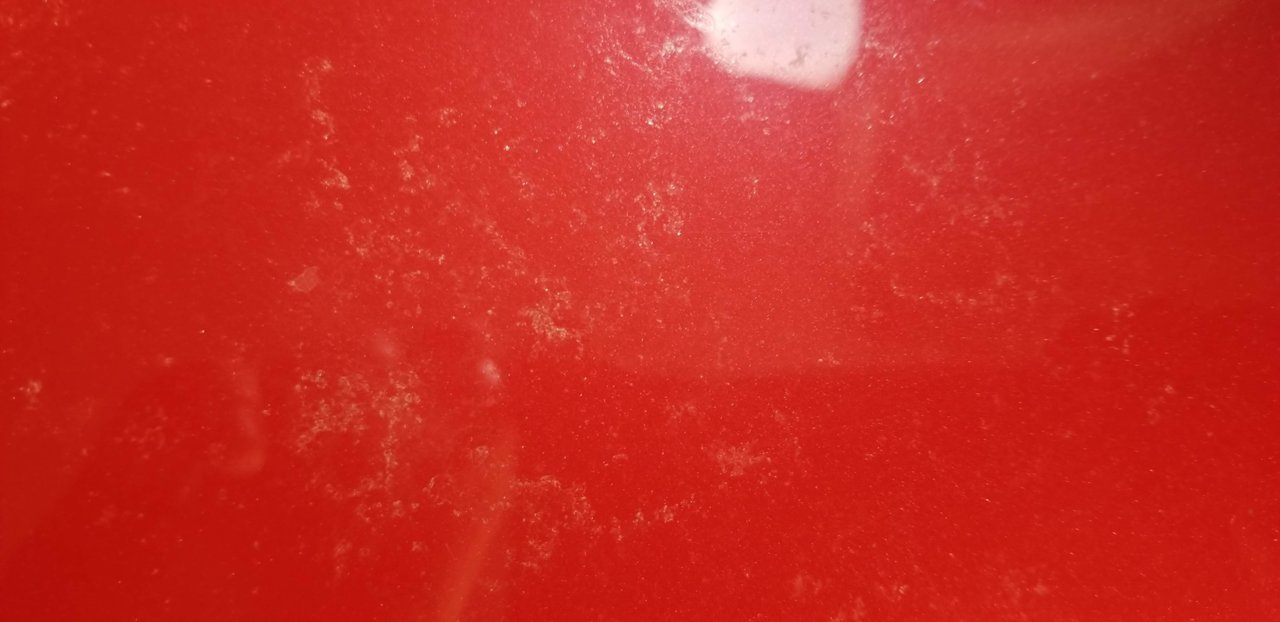 20181206_102054.jpg