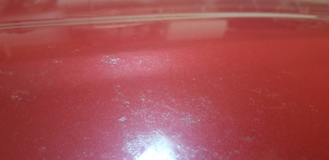 20181206_102127.jpg