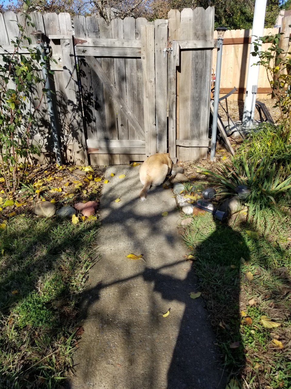 20181206_130250.jpg