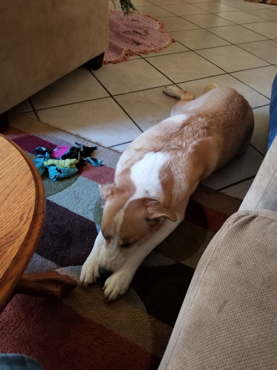 20181206_140344.jpg