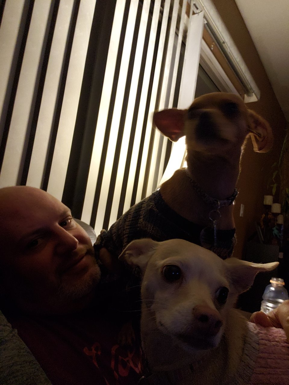 20181206_175144.jpg
