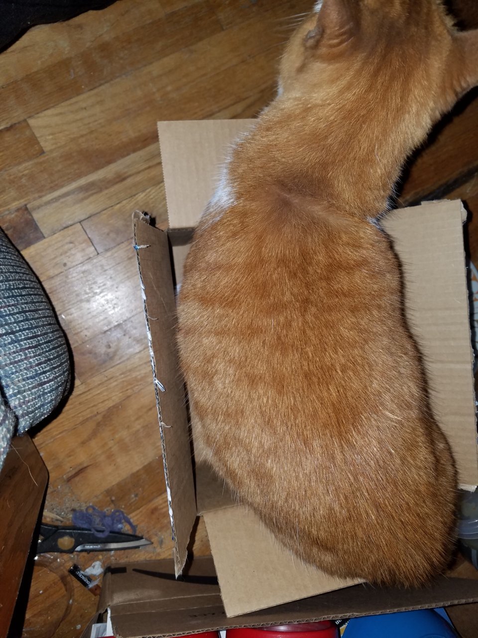 20181206_190708.jpg