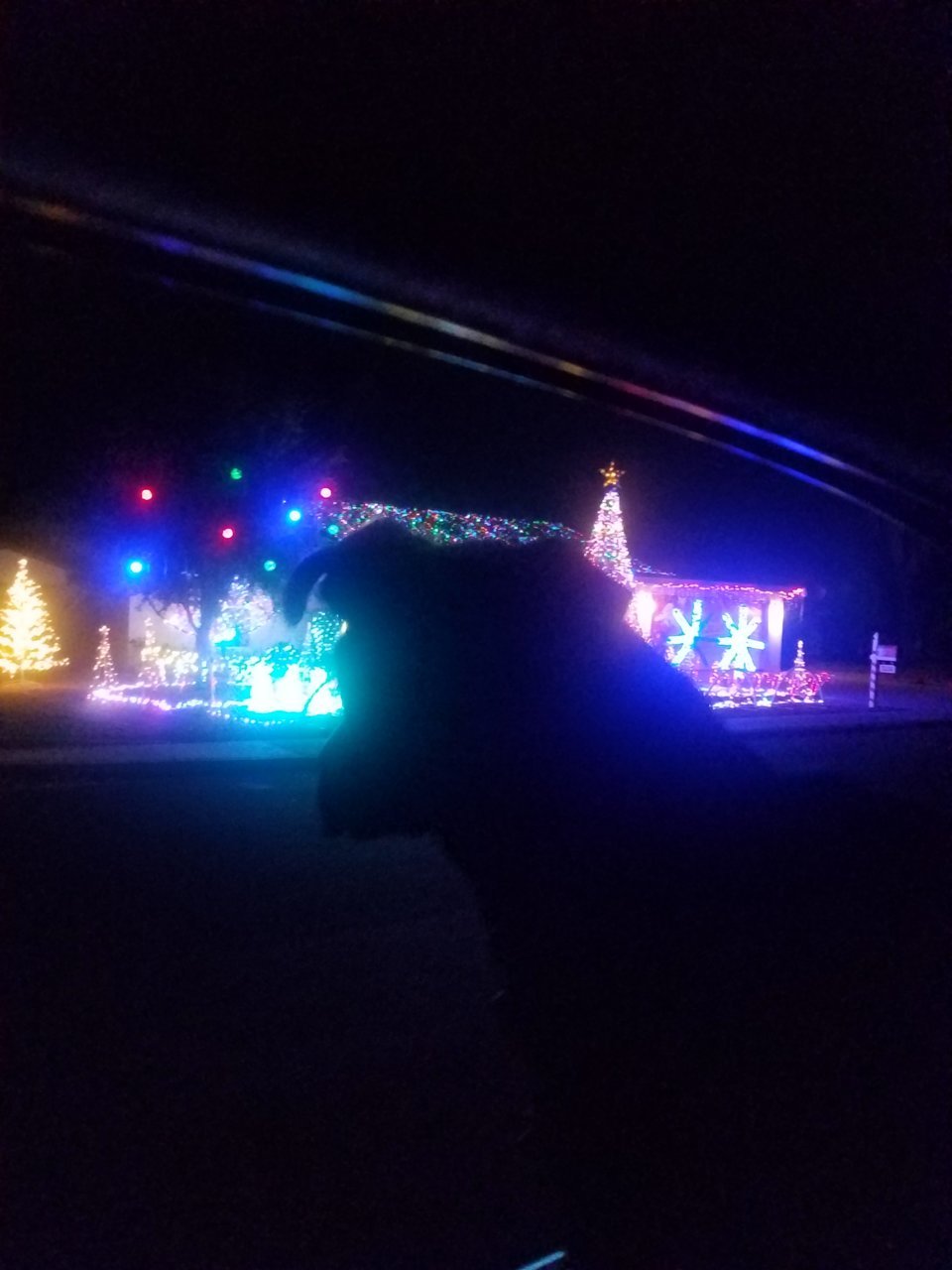 20181207_204443.jpg