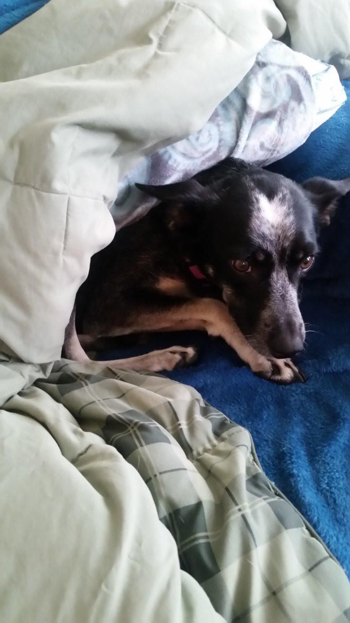 20181208_100504.jpg