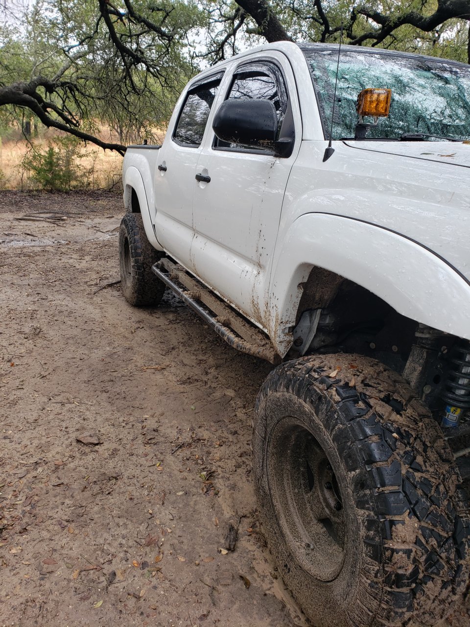 20181208_101721.jpg
