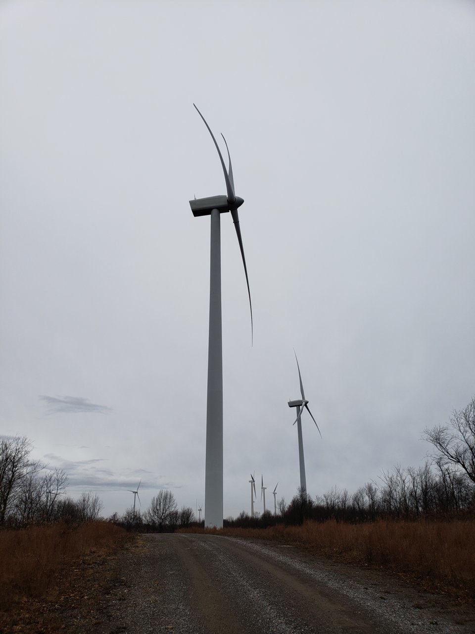 20181208_150125.jpg