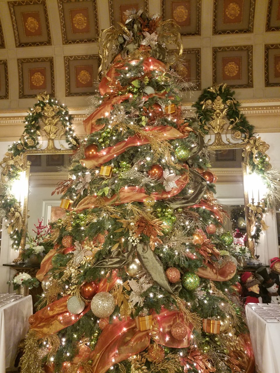 20181208_174443.jpg
