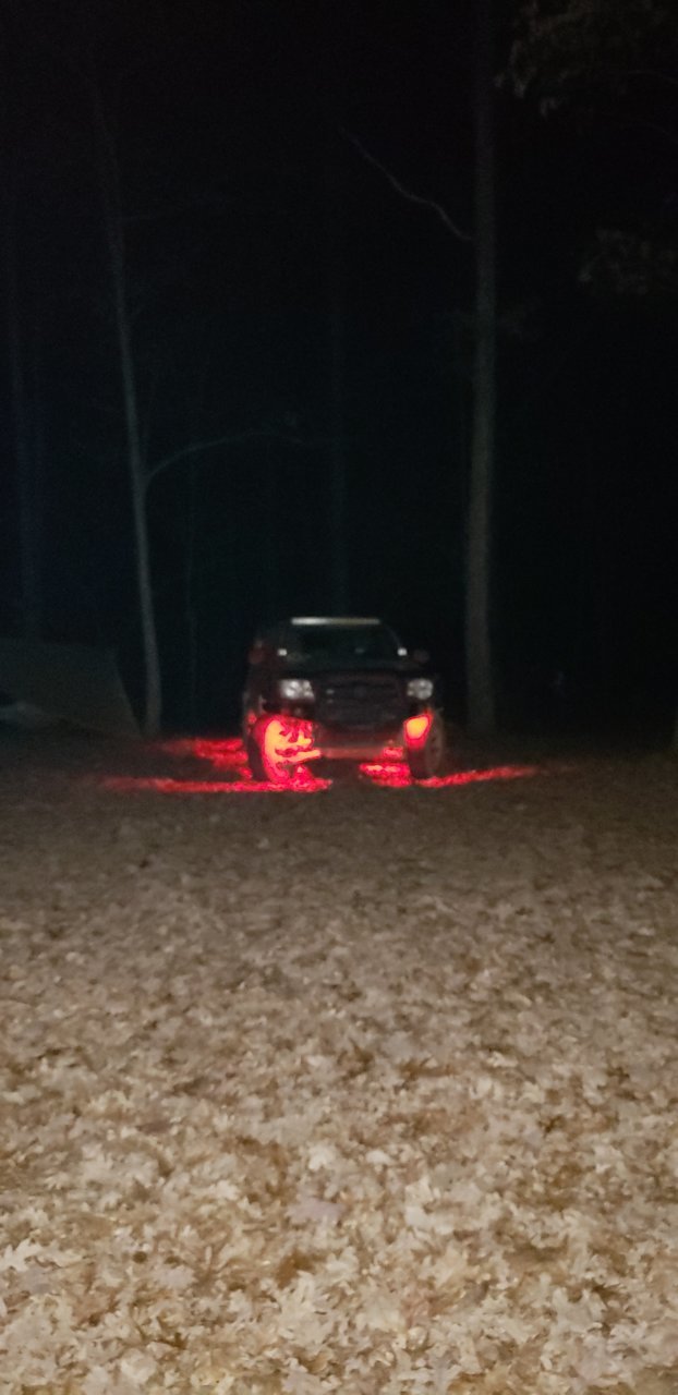 20181208_224208.jpg