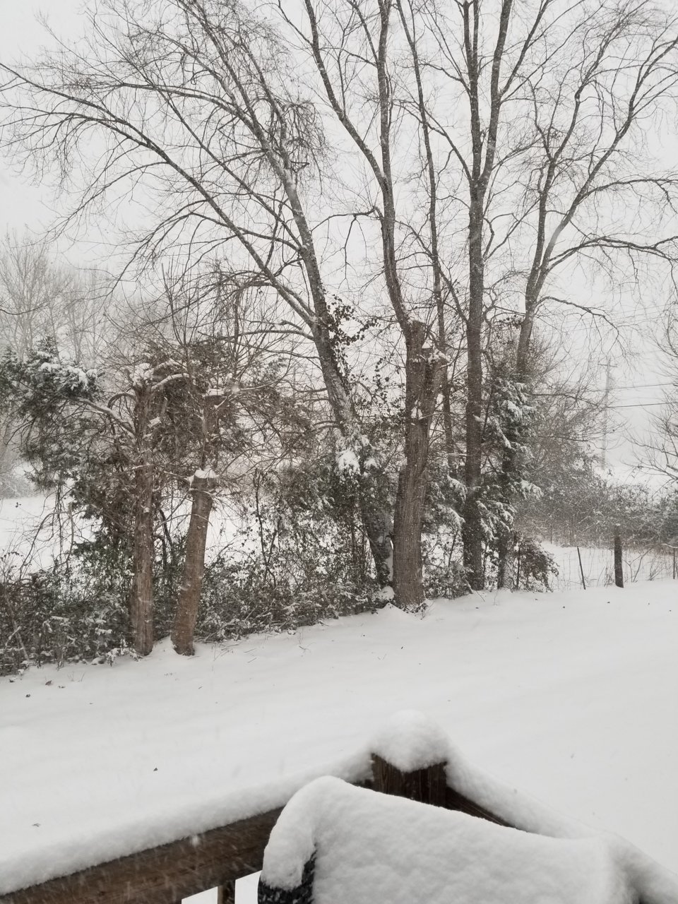 20181209_085520.jpg