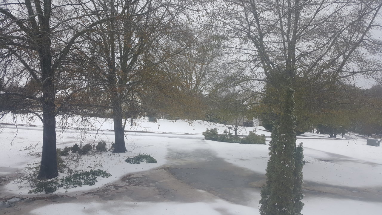 20181209_105234.jpg