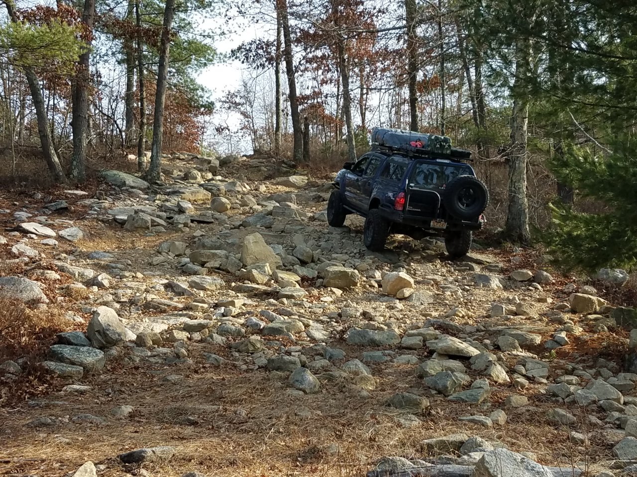 20181209_131015.jpg