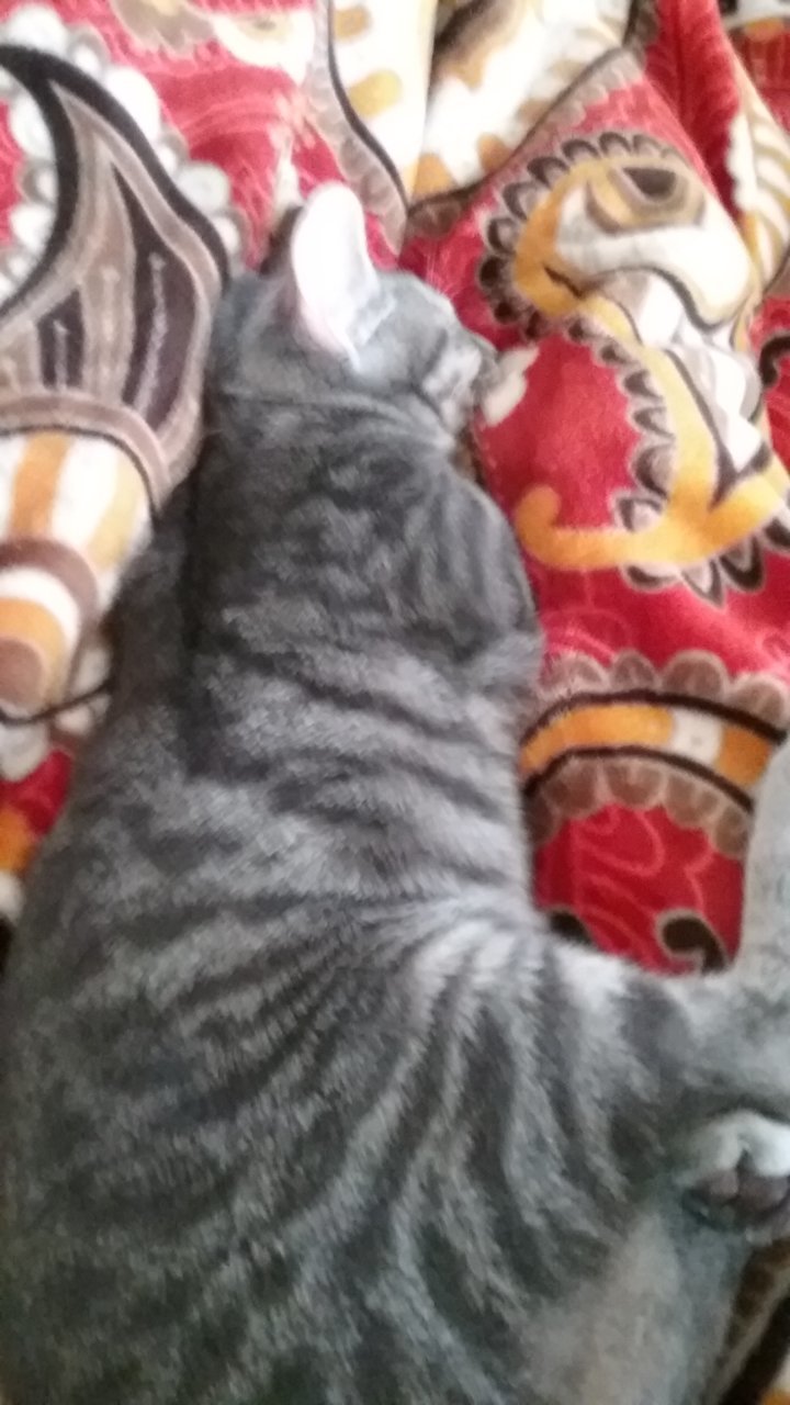 20181209_144123.jpg