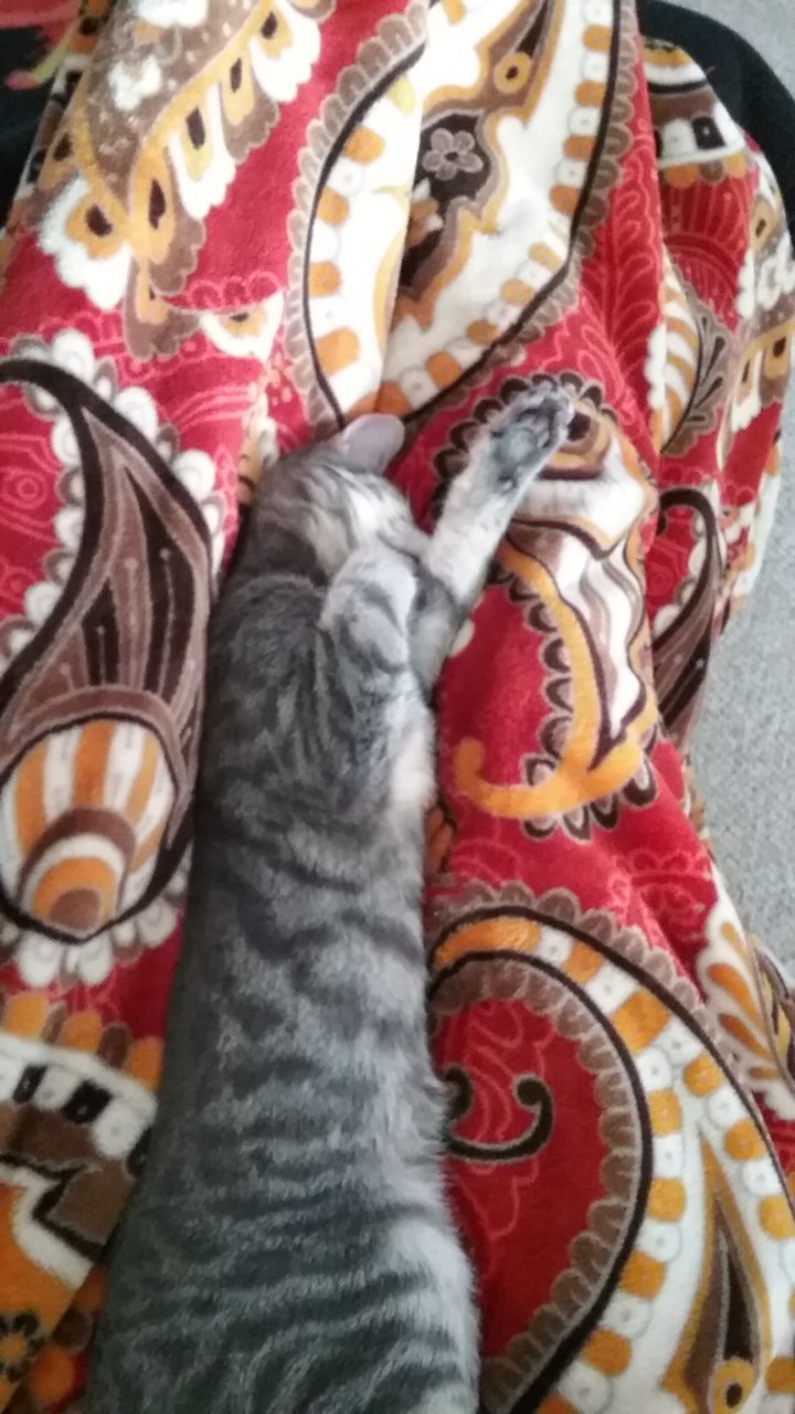 20181209_152018.jpg