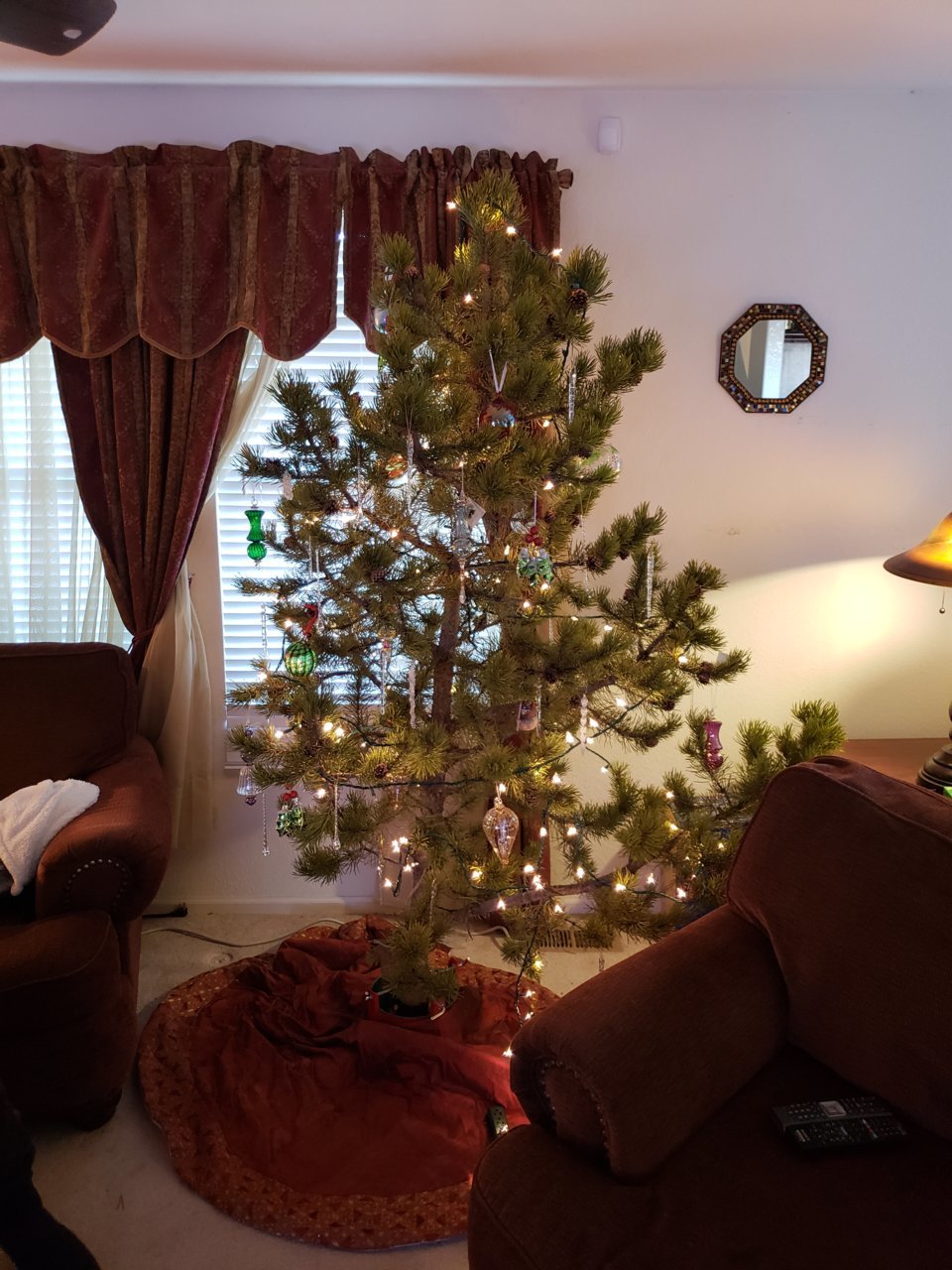 20181209_160346.jpg