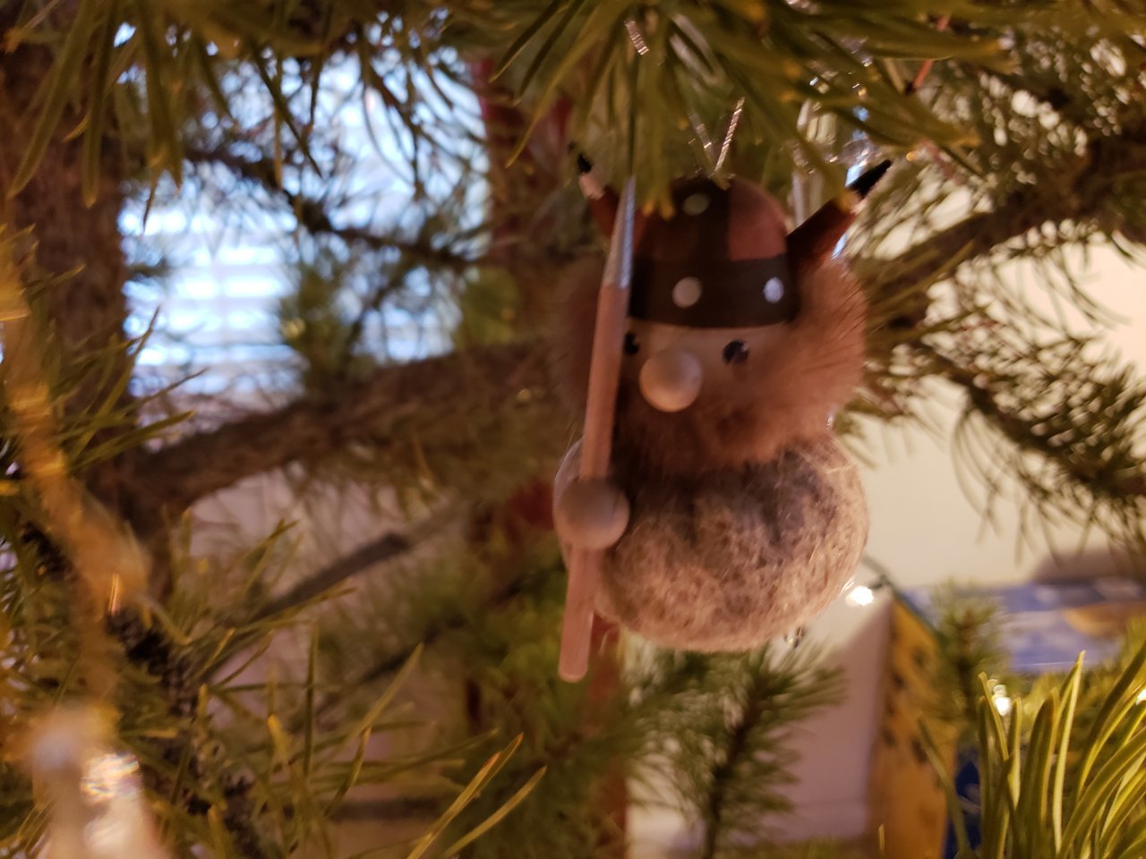 20181209_160445.jpg