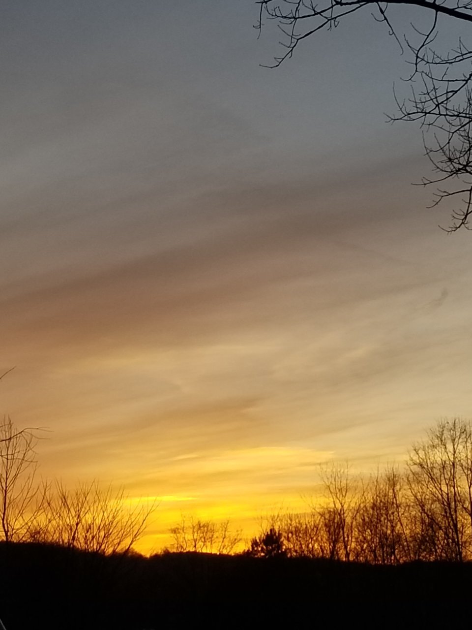 20181209_170110.jpg