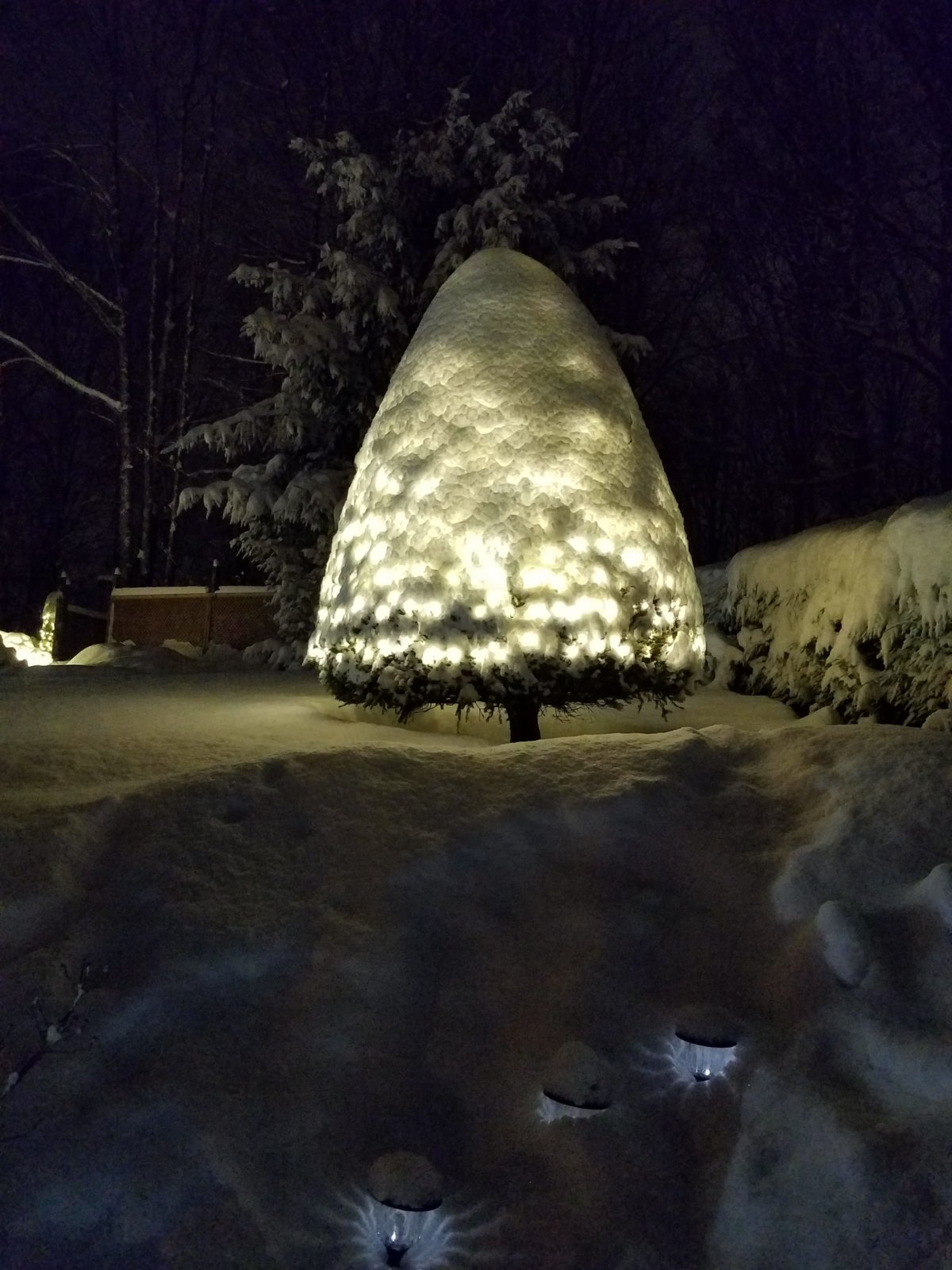 20181209_181250.jpg