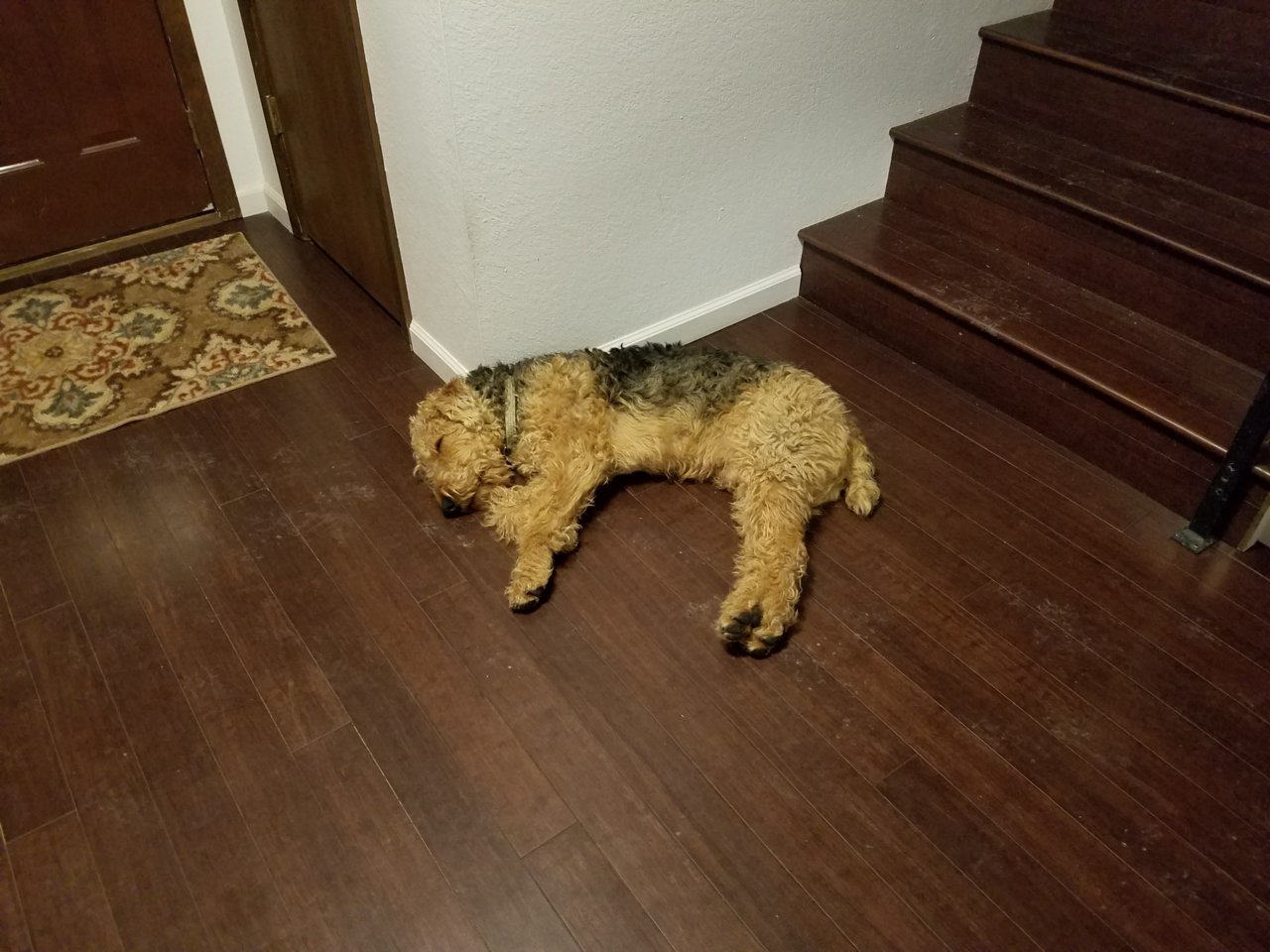 20181209_190015.jpg