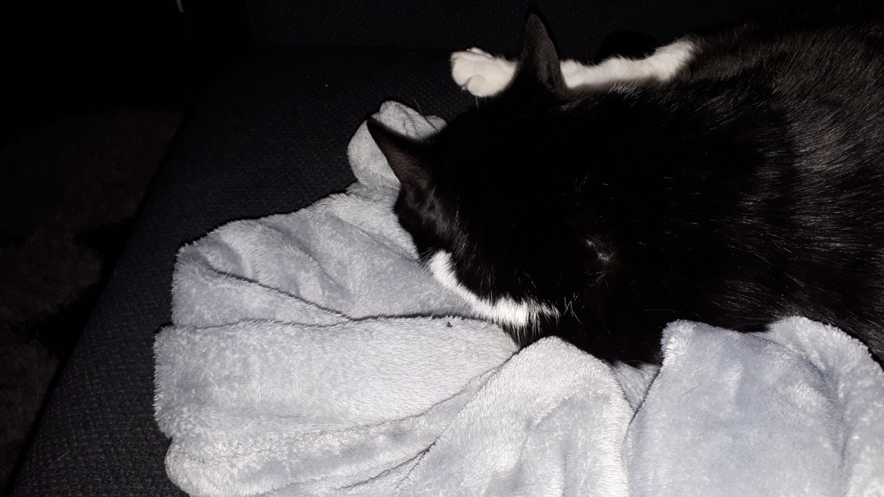 20181209_205917.jpg