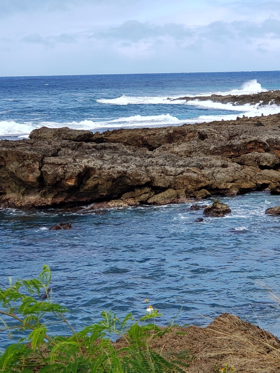 20181210_123741.jpg
