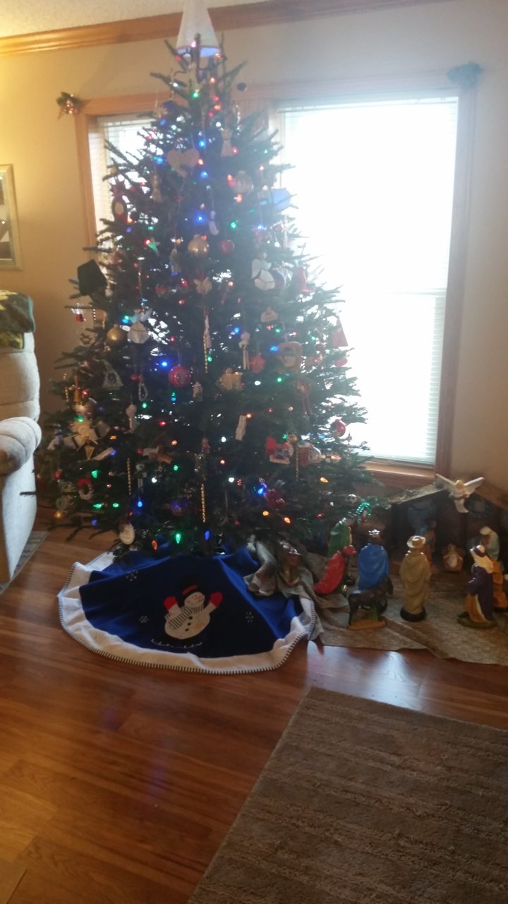 20181213_115408.jpg