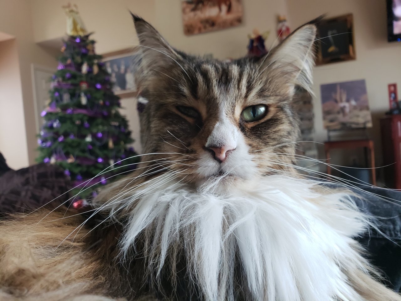 20181214_131221.jpg