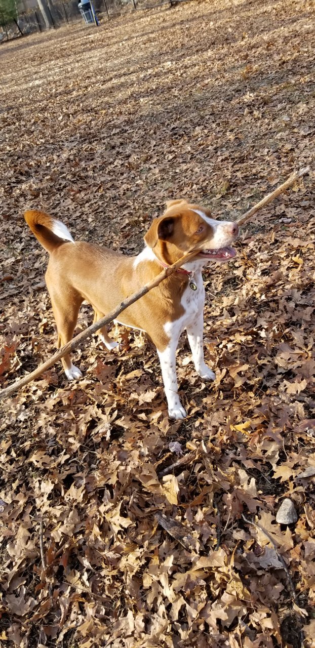 20181214_131750.jpg