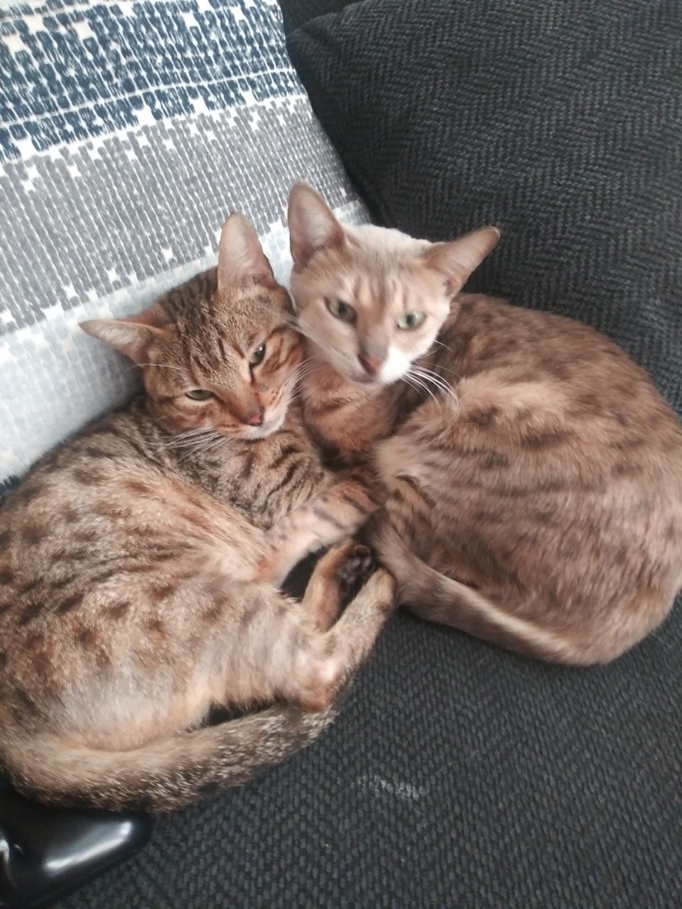 20181215_091140.jpg